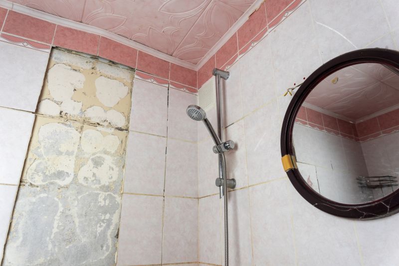 Shower Tile Repair detail